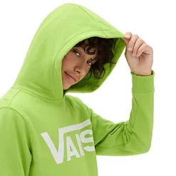 Sweat à Capuche Vans Classic Garçon (8-14 Ans) -Vans VN0008C6589 ALT3